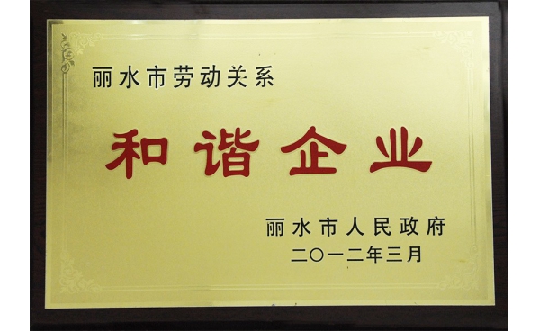 麗水市勞動關系和諧企業